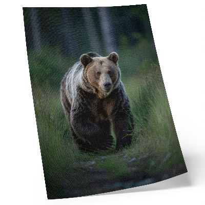 Póster Un oso orgulloso en un entorno forestal