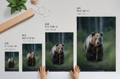 Póster Un oso orgulloso en un entorno forestal