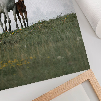 Póster con caballos en la naturaleza con colores saturados y vista relajante