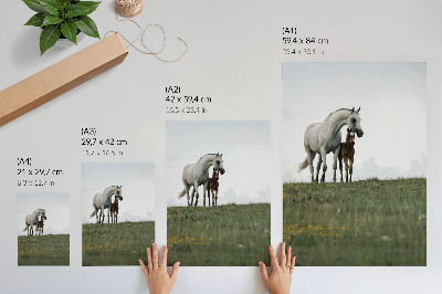 Póster con caballos en la naturaleza con colores saturados y vista relajante