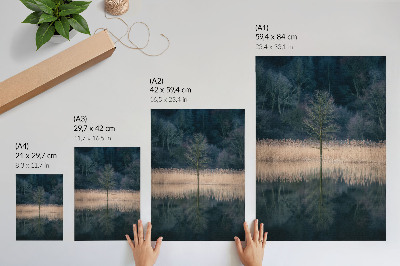 Lámina artística de alta calidad Un solo árbol refleja la niebla del lago