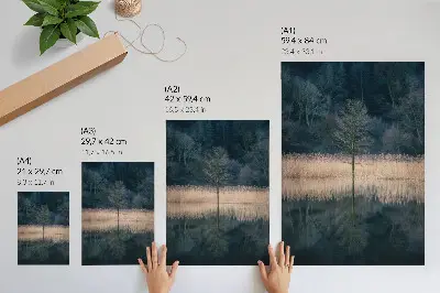 Lámina artística de alta calidad un solo árbol reflejado en la niebla del lago