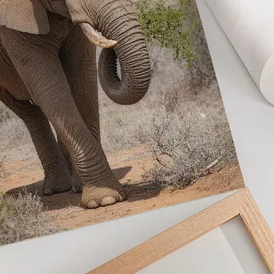 Póster de elefante en la sabana diseño de naturaleza africana con colores saturados