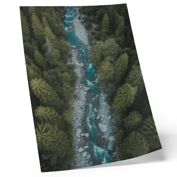 Póster Río de bosque verde con colores saturados en armonía natural