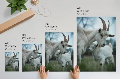 Póster de cabras con la naturaleza como telón de fondo, llenas de paz y armonía