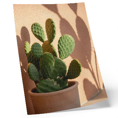 Póster Cactus en maceta, sombras, colores delicados, relajante.