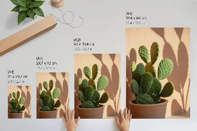 Póster cactus en maceta con sombras y colores delicados de estilo relajante