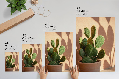 Póster Cactus en maceta, sombras, colores delicados, relajante.