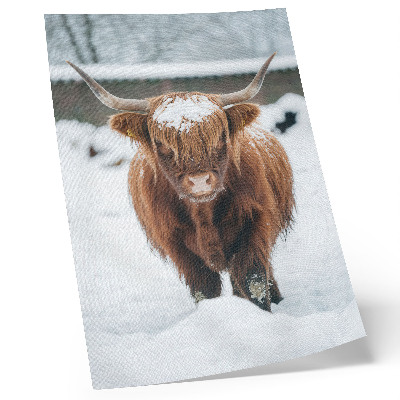 Lámina artística de alta calidad Ganado en la nieve: el contraste entre animal y naturaleza.