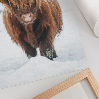 Lámina artística de alta calidad Ganado en la nieve: el contraste entre animal y naturaleza.