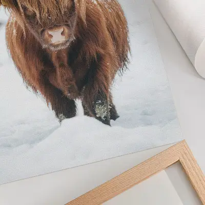 Lámina artística Ganado en la nieve ilustración de alto contraste entre animal y naturaleza