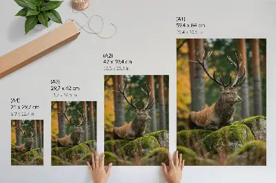 Póster un majestuoso ciervo en un entorno forestal