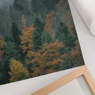 Póster árboles verdes con niebla y hojas naranjas que transmiten paz