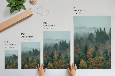 Póster árboles verdes con niebla y hojas naranjas que transmiten paz