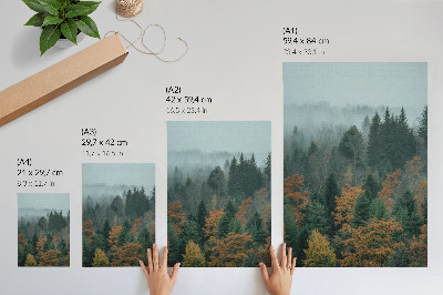 Póster Árboles verdes, niebla, hojas naranjas, paz