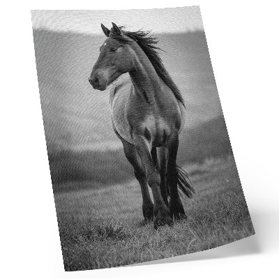 Lámina artística de caballo diseño encantador lleno de energía y gracia