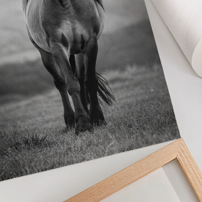 Lámina artística de caballo diseño encantador lleno de energía y gracia