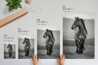 Lámina artística de caballo diseño encantador lleno de energía y gracia