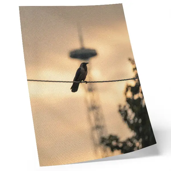 Póster con colores saturados pájaro en un alambre con cielo vespertino y fondo delicado
