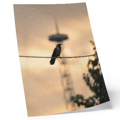 Póster con colores saturados Pájaro en un alambre, cielo vespertino, fondo delicado