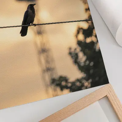 Póster con colores saturados pájaro en un alambre con cielo vespertino y fondo delicado