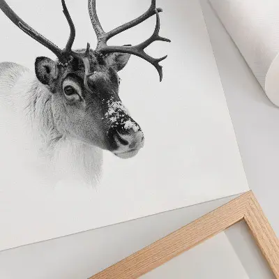Póster de renos majestuosos con diseño de alto contraste en blanco y negro y colores saturados