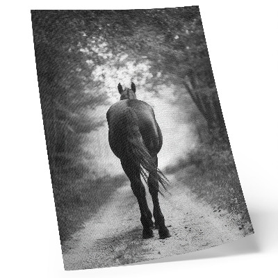 Lienzo decorativo moderno fotografía de un caballo en blanco y negro dentro del bosque