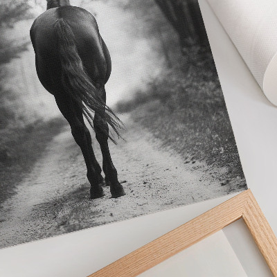 Lienzo decorativo moderno fotografía de un caballo en blanco y negro dentro del bosque
