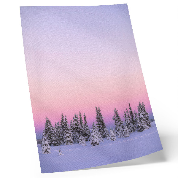 Lienzo decorativo moderno Árboles de invierno, cielo pastel melancólico, paz