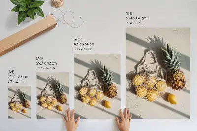 Lámina artística productos naturales sobre fondo claro