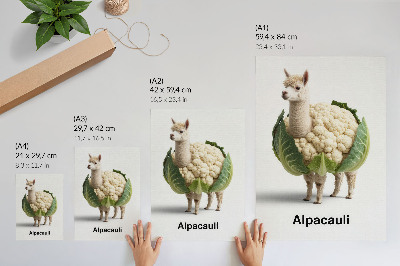 Lámina artística de alta calidad Una combinación inusual de alpaca y coliflor.