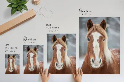 Lámina artística de alta calidad retrato de caballo en un entorno invernal con un toque de paz y naturalidad