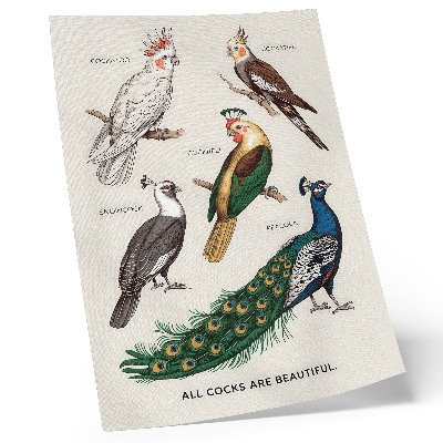 Lámina artística de alta calidad Pájaros elegantes, plumas, colores diversos