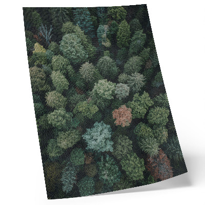 Póster con colores saturados Paisaje forestal visto desde arriba con hojas de varios colores.