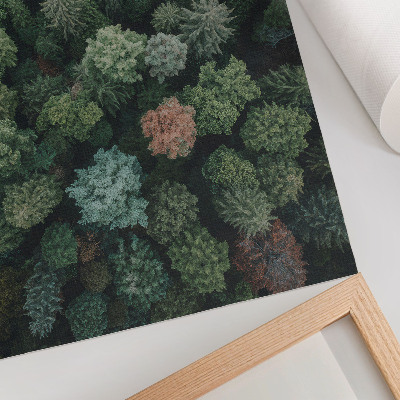 Póster con colores saturados Paisaje forestal visto desde arriba con hojas de varios colores.