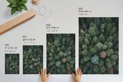 Póster de paisaje forestal visto desde arriba con hojas de varios colores y tonos saturados