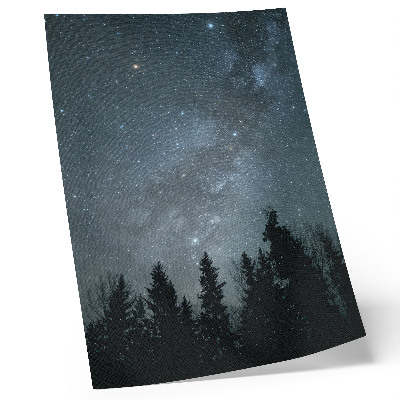 Póster Un cielo nocturno lleno de estrellas y siluetas de árboles.