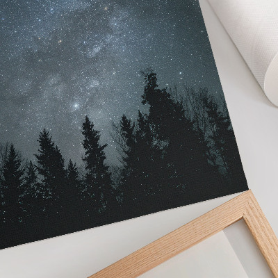 Póster Un cielo nocturno lleno de estrellas y siluetas de árboles.