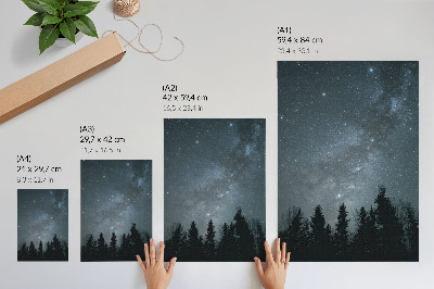 Póster Un cielo nocturno lleno de estrellas y siluetas de árboles.