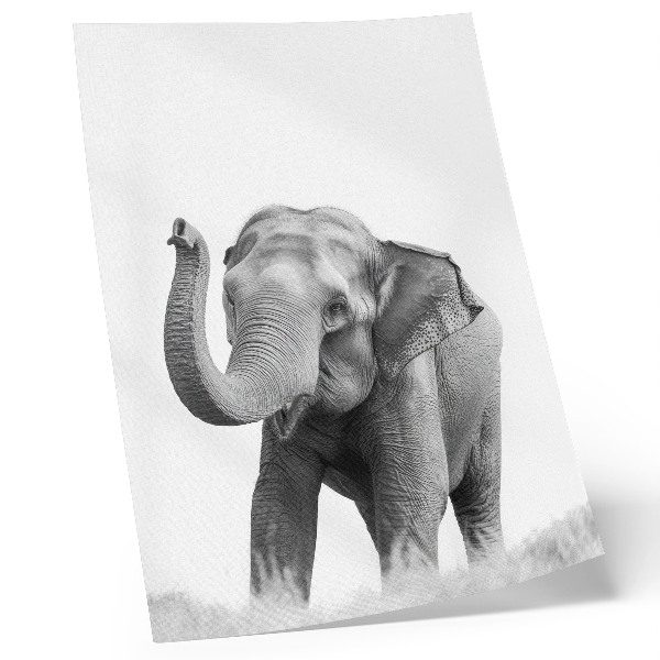 Lámina artística de alta calidad un elefante monocromático con la trompa levantada