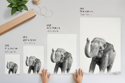 Lámina artística de alta calidad un elefante monocromático con la trompa levantada