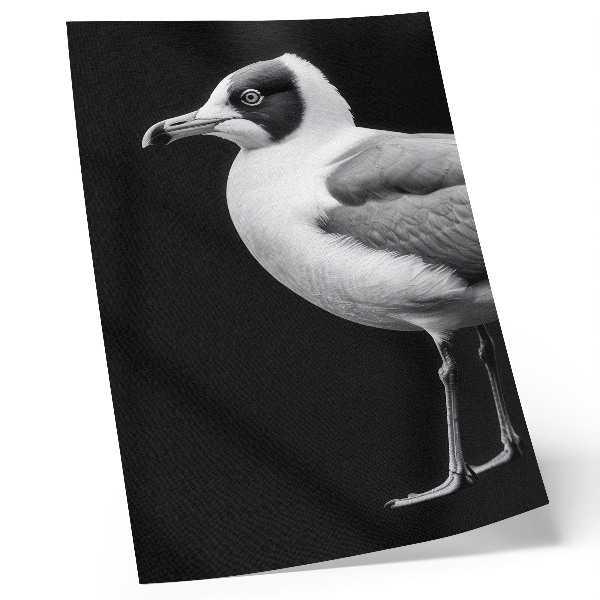 Lienzo decorativo moderno con diseño minimalista de pájaro en blanco y negro