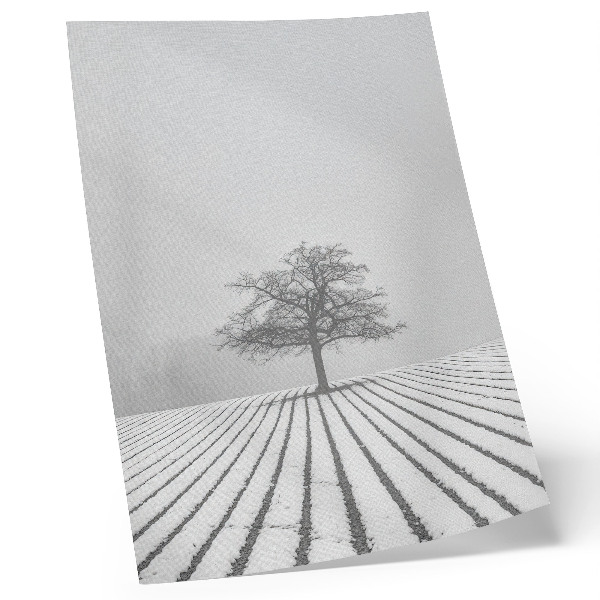 Póster Árbol en la nieve, paisaje invernal minimalista