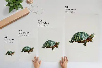 Lámina artística de tortuga verde con detalles en armonía con la naturaleza