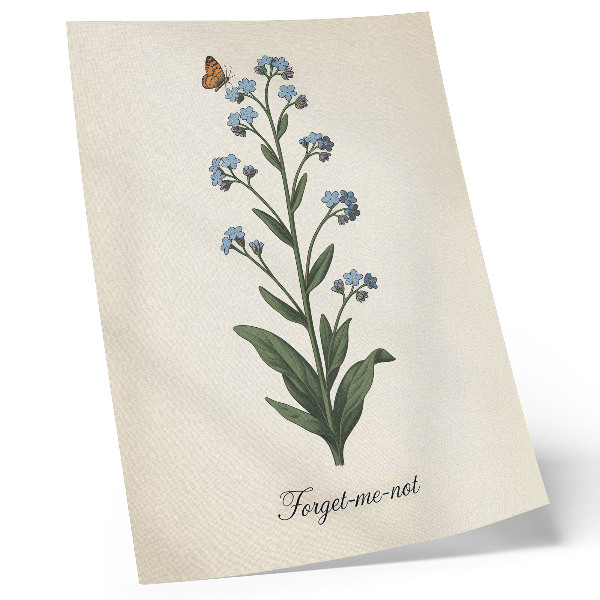 Lienzo decorativo moderno Nomeolvides y una mariposa sobre un fondo color crema.