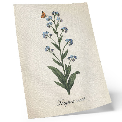 Lienzo decorativo moderno Nomeolvides y una mariposa sobre un fondo color crema.