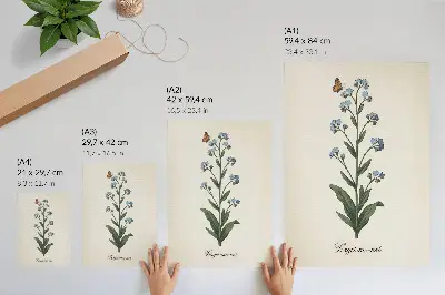 Lienzo decorativo moderno con diseño de nomeolvides y una mariposa sobre fondo color crema