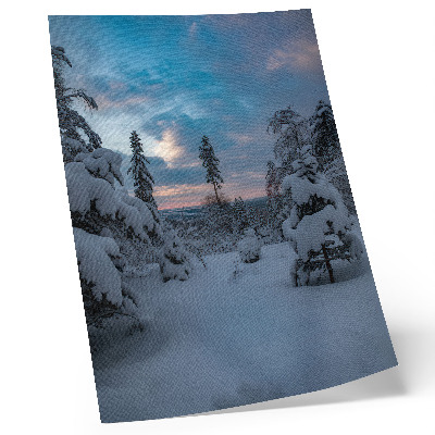 Lámina artística de alta calidad Árboles cubiertos de nieve, paisaje pintoresco, cielo