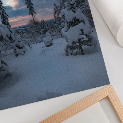 Lámina artística de alta calidad Árboles cubiertos de nieve, paisaje pintoresco, cielo