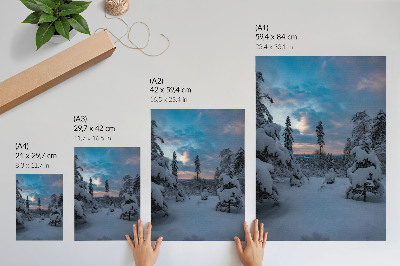 Lámina artística de alta calidad Árboles cubiertos de nieve, paisaje pintoresco, cielo
